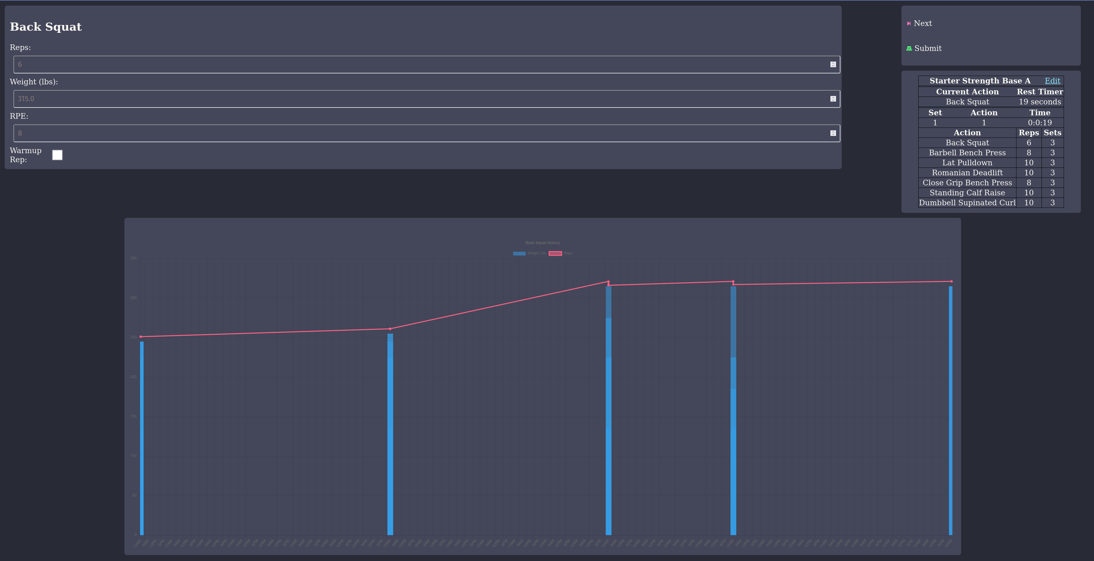 Screenshot of perform workout screen